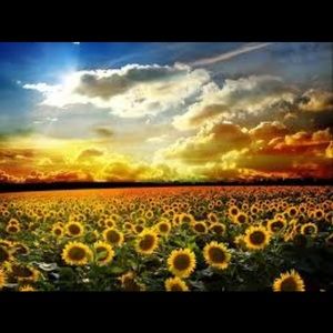 Meet your Posher, Connie